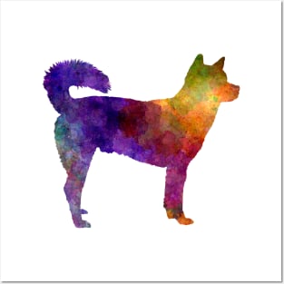 Kishu in watercolor Posters and Art